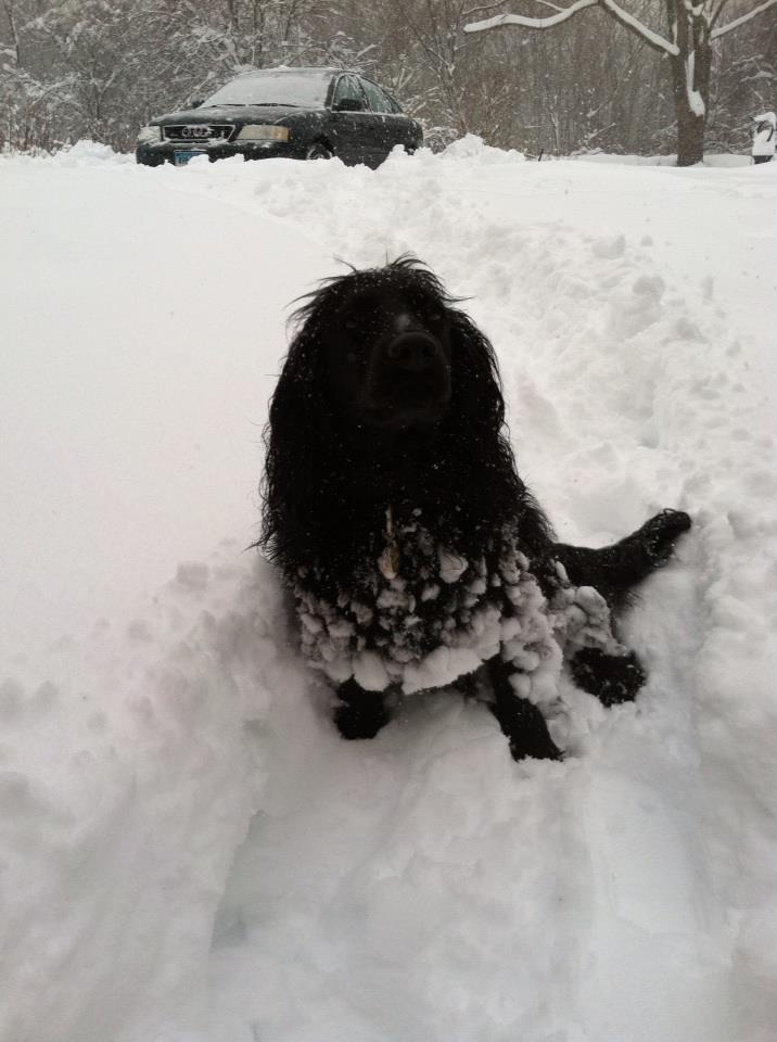 Finn’s First Big&nbsp;Snowstorm
